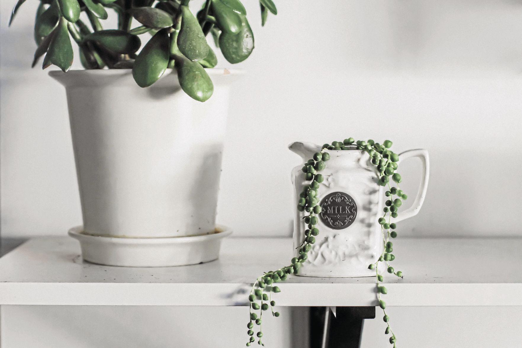 String-of-pearls